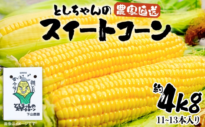 
                  【先行予約】としちゃんの農家直送 スイートコーン 約4kg 11～13本入【2027年6月頃より順次発送】《豊前市》【下山農園】[VBH001] 新鮮 農家直送 トウモロコシ 産地直送 国産 とうもろこし コーン 野菜 スイートコーン コーン 甘い 人気 おすすめ
                