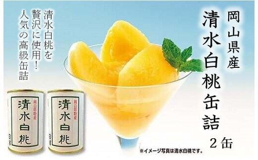岡山県産　清水白桃 缶詰 ２缶（425g×2） 【 フルーツ 果物 フルーツ缶 清水白桃 桃 白桃 おすすめ 岡山県 】