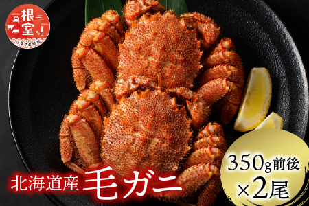 北海道根室産 浜ゆで毛がに 350g前後×2尾