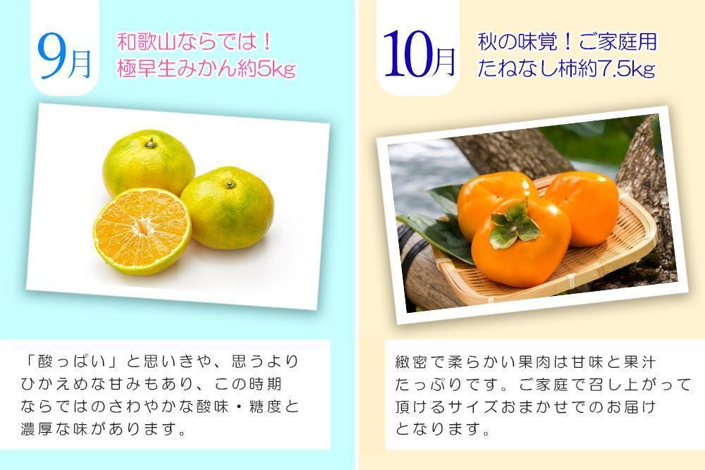 【定期便全6回】夏・秋の新鮮フルーツ定期便 ［TM203］