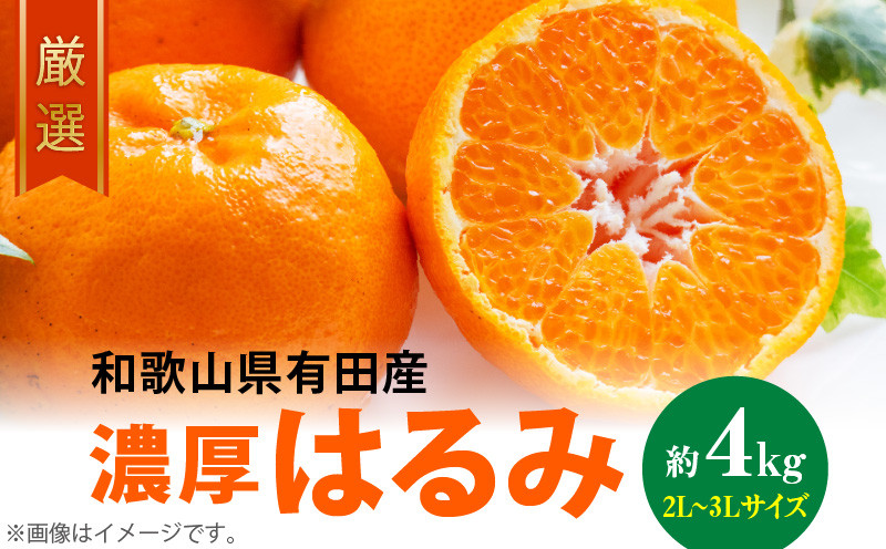 
            AB6048n_【2026年先行予約】 和歌山有田の濃厚 はるみ 4kg (2L～3Lサイズ)【ハルミ 春見 ミカン 蜜柑 柑橘 和歌山 有田】
          