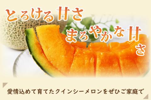 【2026年5月より順次発送】イバラキングメロン＆クインシーメロン（各1玉／計2玉）｜メロン クインシーメロン イバラキングメロン フルーツ 果物 くだもの セット 先行予約 茨城県 行方市(BW-2