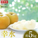 【ふるさと納税】先行予約 和梨 幸水 約5kg [8月中旬から発送予定] 令和7年度 新潟県 三条市産 梨 [小林農園]【012P044】