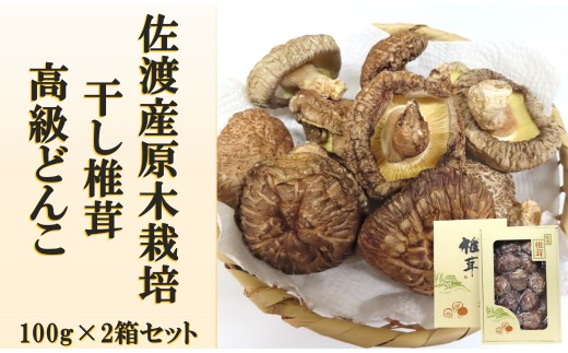 【佐渡産 乾燥しいたけ どんこ】100g×2箱 原木栽培 肉厚 日椎連箱物品評会 どんこ部1等の生産者 | 新潟県産しいたけ 佐渡産しいたけ 干し椎茸 干ししいたけ 乾燥しいたけ しいたけ シイタケ 椎茸 どんこ 冬菇 きのこ 出汁 だし 乾物 にいがた さど 新潟県 佐渡市