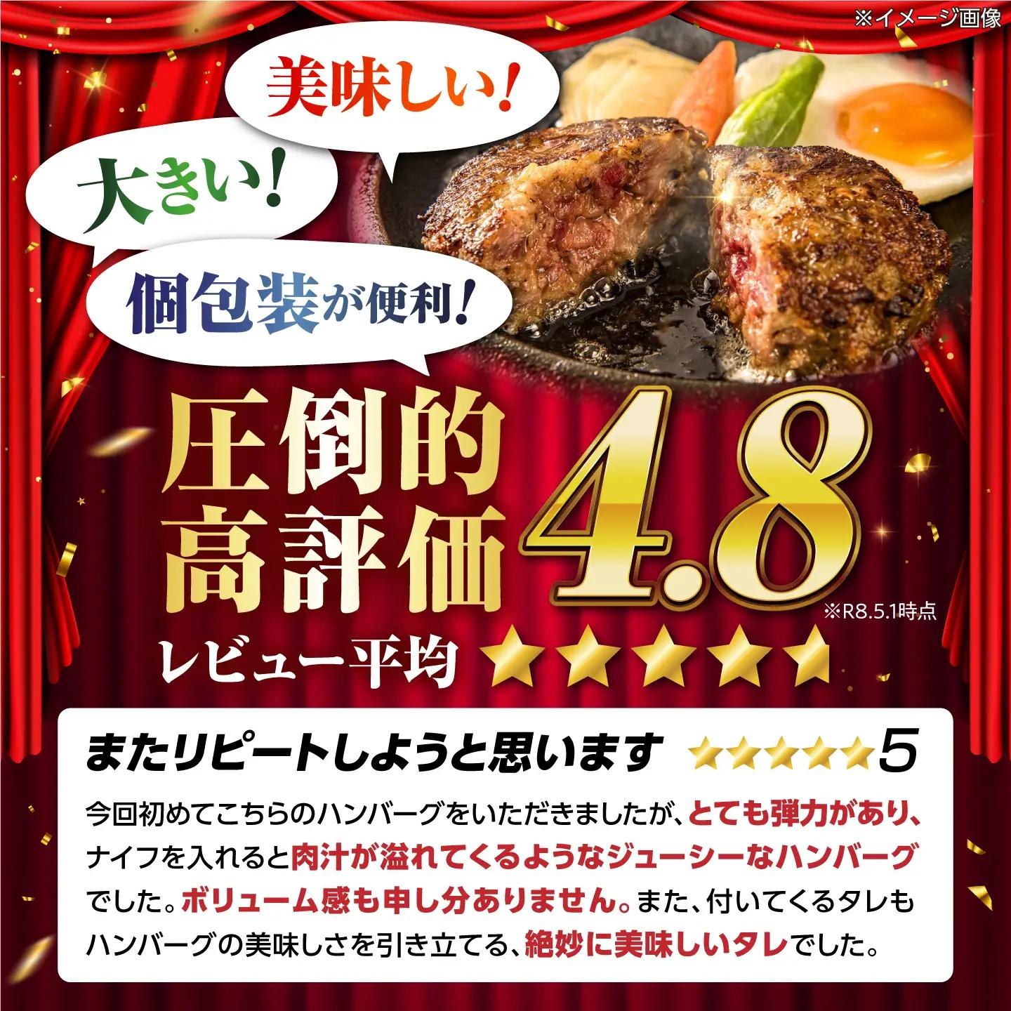 ハンバーグ18個 宮のタレセット [AQAM003]ハンバーグ