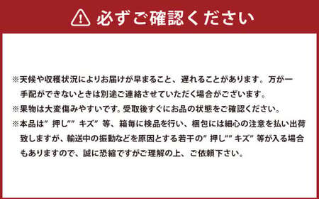 岡山県産 ニューピオーネ 4房 （1房480g以上） 約2kg 【2025年8月下旬～10月上旬発送予定】 ／ 葡萄 ぶどう 果物 果実 フルーツ 種なし 岡山県 美咲町 冷蔵