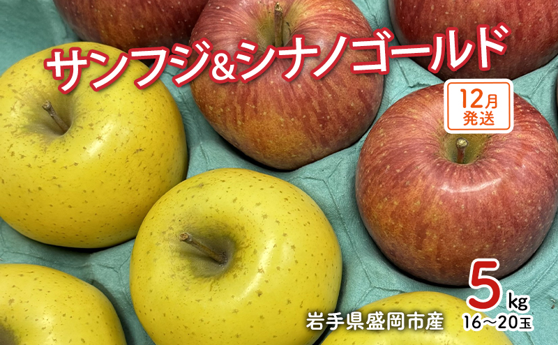 【12月発送】盛岡市産 田村ふぁーむ 家庭用 完熟りんごサンふじ＆シナノゴールド5kg（14～20玉） 果物類 林檎 リンゴ