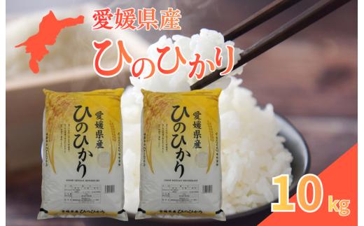 愛媛県産ひのひかり10kg