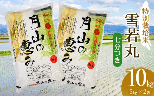 【令和6年産 新米】 特別栽培米 雪若丸 七分づき 10kg（5kg×2袋）山形県鶴岡市産　米工房 月山