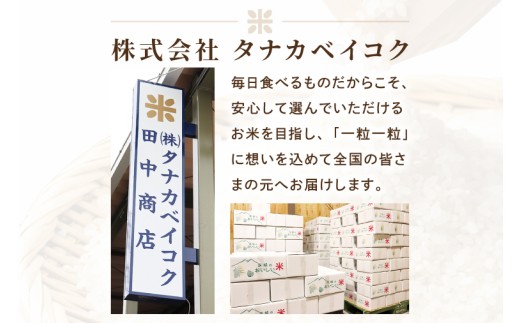 【2027年1月発送】米 あきたこまち 精米 5kg 令和8年産 茨城県産 お米 こめ コメ ごはん 白米 アキタコマチ 茨城県産米 単一米 単一原料米 安心 安全 送料無料 国産 人気 数量限定 （