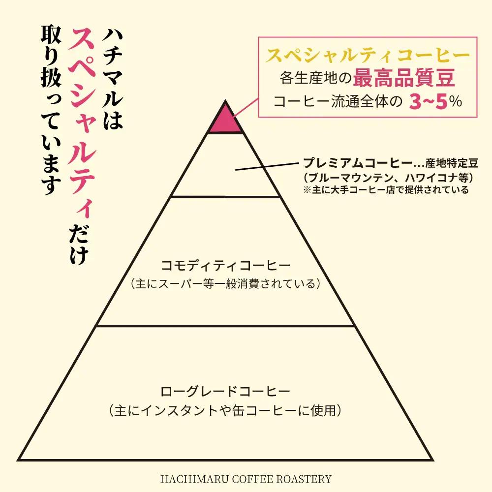 P113(粉)　【受注後焙煎1.8kg】スペシャルティコーヒー３種飲み比べ（600g×３種）【粉】【珈琲 自家焙煎 詰め合わせ セット スペシャルティ3種類 1800g 大阪 八尾市】