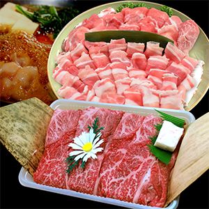 おおいた和牛・耶馬溪黒豚セット おおいた和牛スライス800g 黒豚スライス もも・バラ 各500g 牛肉 和牛 豊後牛 すき焼き 赤身 しゃぶしゃぶ肉 大分県産 中津市