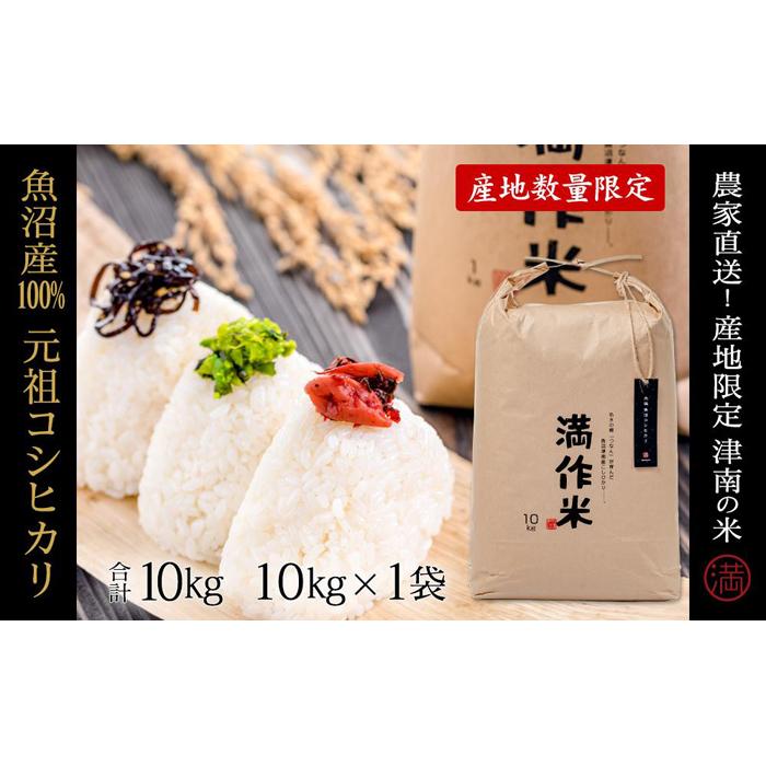 【ふるさと納税】【2025年産新米】元祖魚沼産従来コシヒカリ 10kg(10kg×1袋) 選べる配送回数 袋産地限定！農家直送