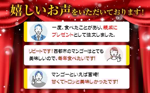 【先行予約】西都市産完熟マンゴー2Ｌ×2玉 W＜1.2-39＞2026年発送 果物 くだもの フルーツ 宮崎県 西都市