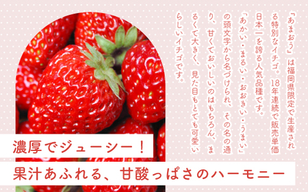 M585-3【先行予約】いちご あまおう 約280g×4パック 合計約1120g【令和8年1月より順次発送】