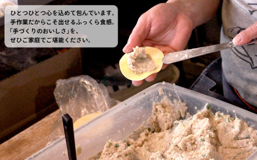 冷凍餃子 選べる単品 にんにくなし 30個×1p 餃子 セット ぎょうざ ギョウザ にんにく 不使用 肉 お肉 豚肉 豚 鶏肉 鳥 おつまみ 加工品 肉汁 惣菜 お弁当 冷凍ストック 寺岡商店 香川県