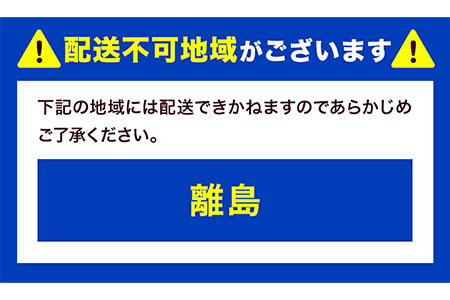 贈答クラス シャイン マスカット 1房 (700g以上) 【配送不可地域あり】 OEC KINGDOMぶどう家 《8月下旬-10月中旬頃出荷》岡山県 浅口市 ぶどう 果物---124_c555_8g10c_23_16500_1---