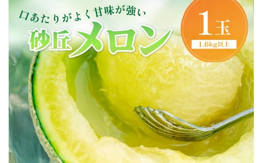 【先行予約／数量限定500】京丹後産 砂丘メロン 大玉2L以上 1玉（2025年7月下旬～発送）　国産 高級メロン めろん 贈答 贈答品メロンマスクメロン 青肉メロン メロン先行予約 メロン1玉　HF00003