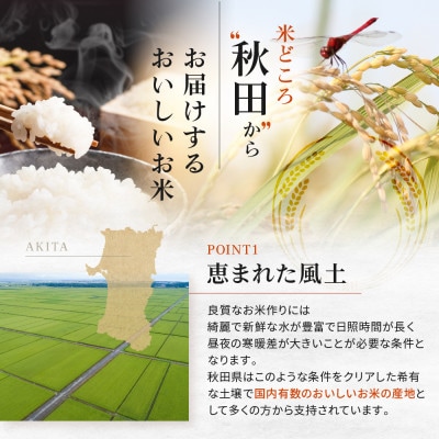 【玄米】大潟村産あきたこまち特別栽培米11kg 【令和7年産】【配送不可地域：離島・沖縄県】
