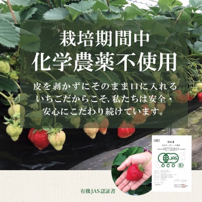 有機あまおう約250g×4パック【配送不可地域：離島】