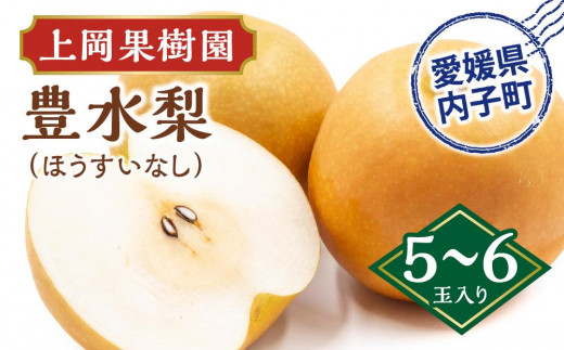 
            上岡果樹園の豊水梨（ほうすいなし）（1）【5～6玉入り】【フルーツ 果物 くだもの 食品 人気 おすすめ 送料無料】
          