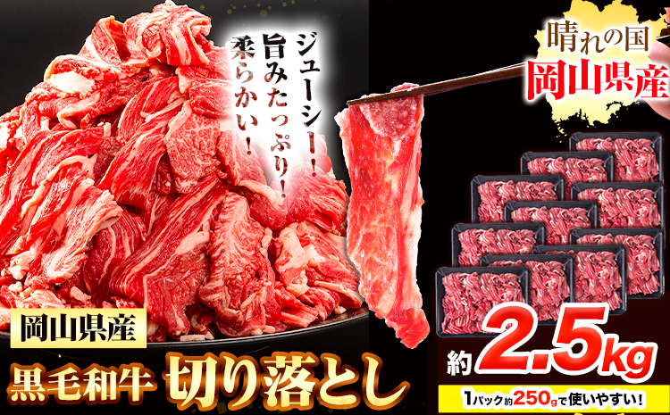 牛肉 黒毛和牛 切り落とし 2.5kg《30日以内に出荷予定(土日祝除く)》 岡山県 浅口市 牛 牛肉 和牛 牛丼 カレー 小分け 小分けパック 250g 送料無料