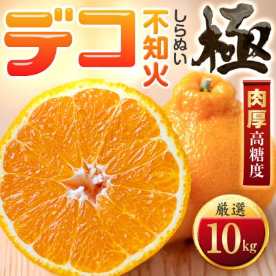 【太陽をたっぷり浴びた】デコ(不知火)【極】10kg【F49−47】【1509744】