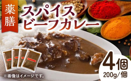 薬膳スパイス ビーフカレー /自然庵 [UCQ002] カレー レトルトカレー