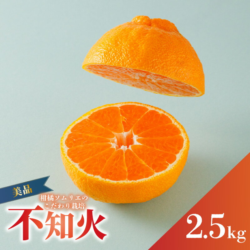 【ふるさと納税】 【2026年3月上旬から発送】 不知火(デコポンと同一品種) 美品 約 2.5kg | 蜜柑 柑橘 みかん 果物 くだもの フルーツ おすすめ 高級 人気 お取り寄せ グルメ ギフト 期間限定 数量限定 ご当地 愛媛県 松山市 蓮果園