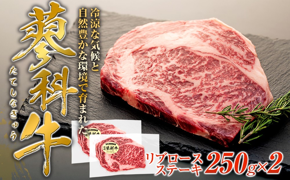 
            蓼科牛 リブロースステーキ250g×2　　
          