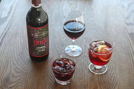 食の都庄内 月山ぶどう果汁100％ジュース 720ml×1本 濃厚 ブドウジュース ぶどう 保存料不使用