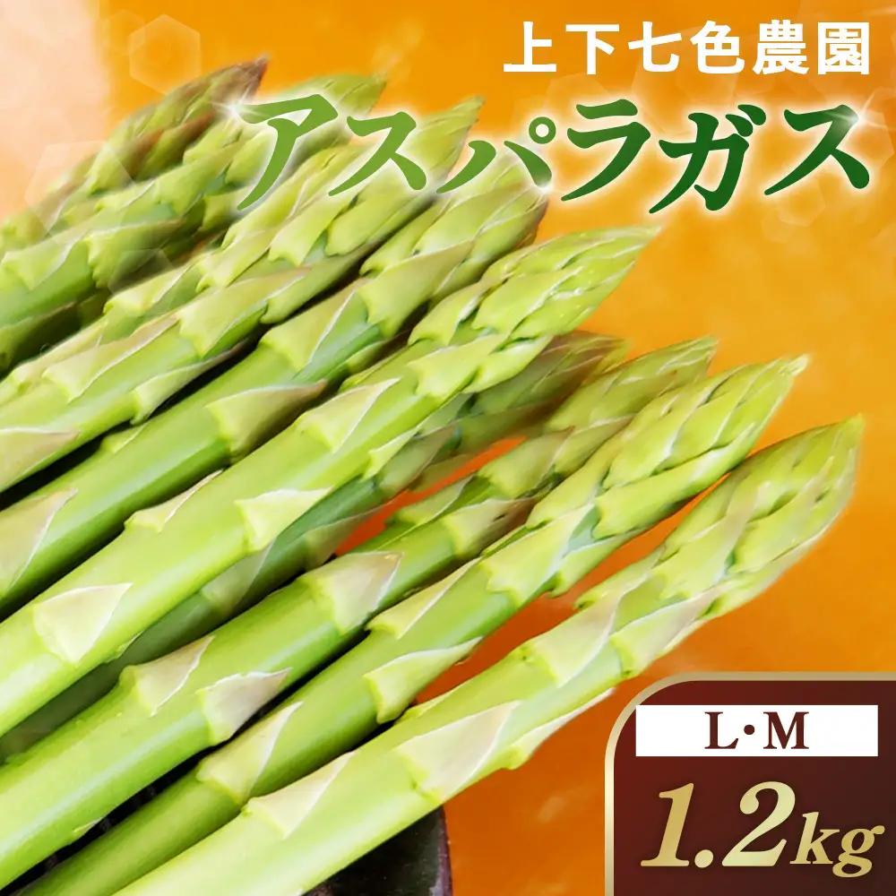 上下七色農園 アスパラガス　L・Ｍサイズ　ダンボール（1.2kg） No.1096