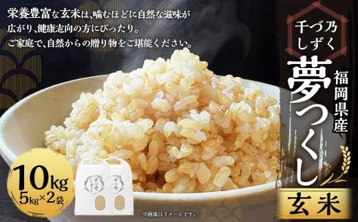 【令和7年産】福岡県産 夢つくし〈千づ乃しずく〉 約10kg（約5kg×2袋） 玄米 S004【2025年9月下旬～2026年2月下旬発送予定】 お米 米