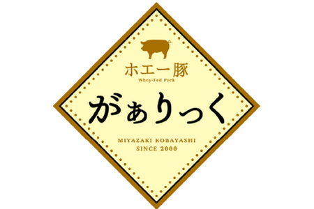 精肉店の特製和牛もつ鍋 味噌味 セット（国産牛 牛肉 ホルモン 牛もつ 豚バラ モツ鍋 鍋セット）