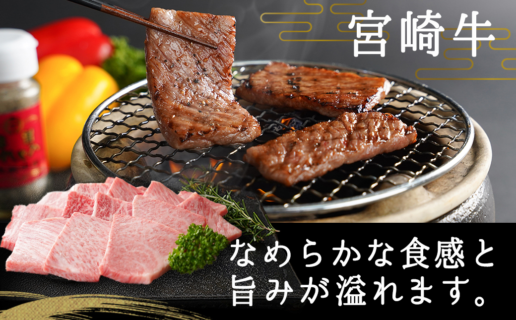 宮崎牛肩ロース焼肉700g_MA-2412