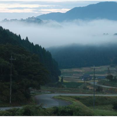 ふるさと納税 朝来市 栽培期間中農薬を減らしお作りした 三波農地を守る会のコシヒカリ　10kg(5kgを2袋)玄米 |  | 01