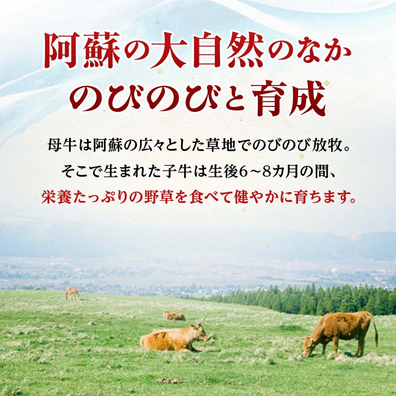  【6カ月定期】 あか牛切り落とし600g（300ｇ×2パック） 定期便 牛肉 牛 赤身 小分け FKP9-690
