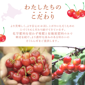 【 先行受付 】さくらんぼ 南陽1kg（500g×2パック）高級 サクランボ 北海道 芦別産 赤 3L 果物類 フルーツ チェリー 