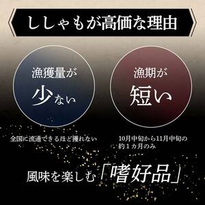 本場くしろ産 ししゃもメス40尾入り！ 本ししゃも 魚 ししゃも 魚好きのメス プチプチたまごのメス 魚介 グルメ シシャモ 北海道産 国産 魚 魚介 海の幸 F5F-0137