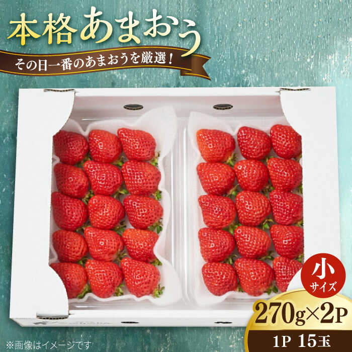 【先行受付中】【ふるさと納税】【農家直送！】 あまおう 小サイズ 270g×2パック 【2027年1月以降順次発送】糸島市 / みのりのりん[ABD005]1万3千円13000円