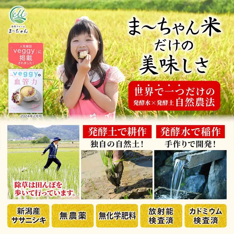 先行予約 ササニシキ 玄米 5kg 令和8年 無農薬 新潟県産 ササニシキ