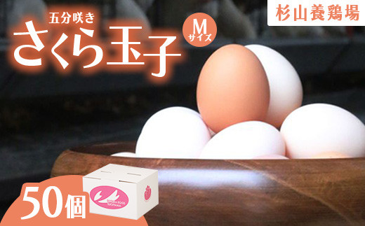 純国産鶏さくらちゃんが産んだ桜色のさくら玉子 五分咲き（Mサイズ）50個  | 卵 鶏卵 たまご タマゴ 生卵 たまごかけご飯 濃厚 甘み 国産 寄附額 10000 10000円 1万円 以下 以内