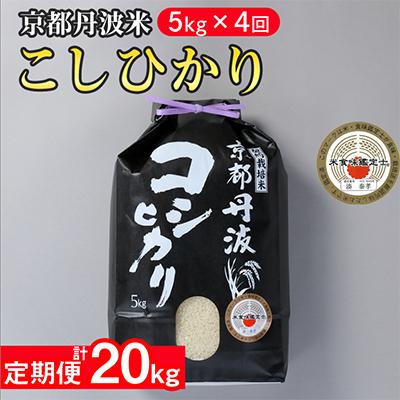 ふるさと納税 亀岡市 【毎月定期便】京都丹波米 こしひかり 5kg全4回