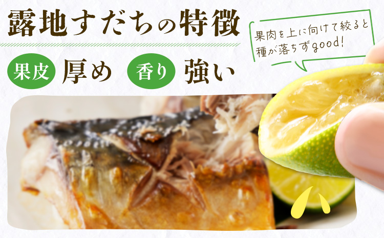 \生産量日本一徳島県/ 露地栽培 すだち約500g 露地すだち スダチ 一般財団法人さなごうち《8月下旬-11月上旬頃出荷》徳島県 佐那河内村 スダチ 露地 魚 豆腐 冷奴 焼き魚 天ぷら 刺身 上質