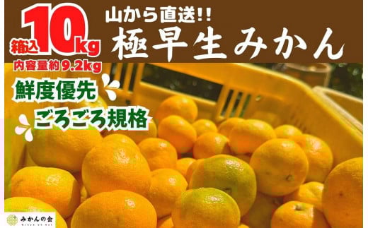 
            みかん 極早生 山から直送 箱込 10kg (内容量約 9.2kg) 採れたてそのままごろごろ規格 有田みかん 和歌山県産 【みかんの会】みかん 果物 みかん フルーツ みかん 和歌山 みかん 柑橘類 みかん 和歌山県産 みかん 有田 みかん
          