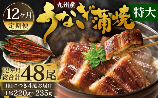 【12ヶ月定期便】九州産 うなぎ蒲焼 特大4尾 (1尾あたり220～235g) 合計48尾 たれ 山椒 鰻 ウナギ 蒲焼き 国産 冷凍 鹿児島、宮崎、熊本等産うなぎ原料使用