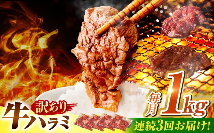 
            【3回定期便】【訳あり】味付けハラミ 1kg(250ｇ×4パック) / ハラミ 牛肉 焼肉 / 御嵩町 / 馬力家 [AVBO042]
          