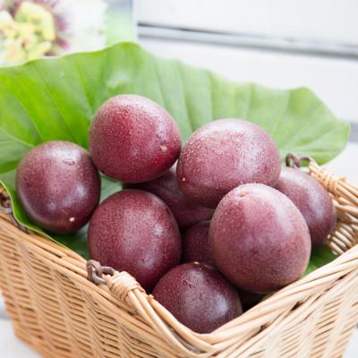 ふるさと納税 奄美市 《奄美大島産パッションフルーツ》贈答用化粧箱入り約1kg(12玉入り) |  | 01