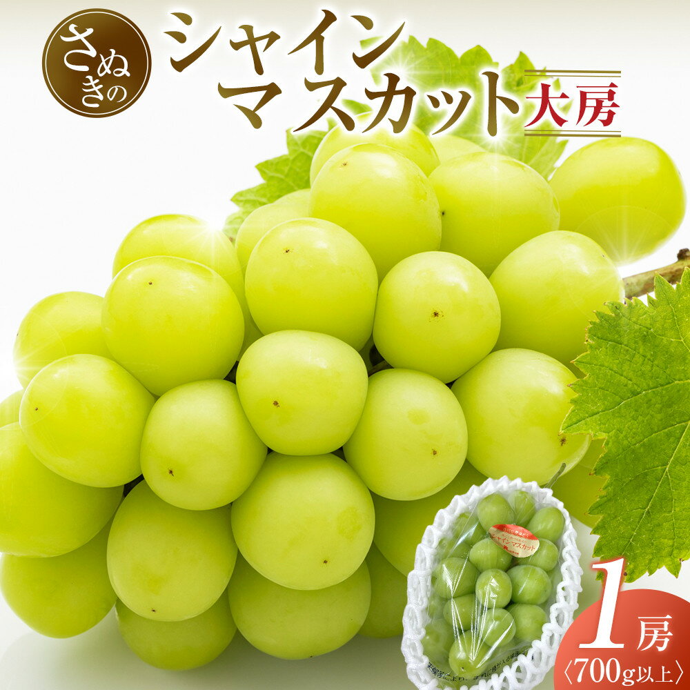 【ふるさと納税】【8月中旬頃～発送】大房シャインマスカット 700g (1房)