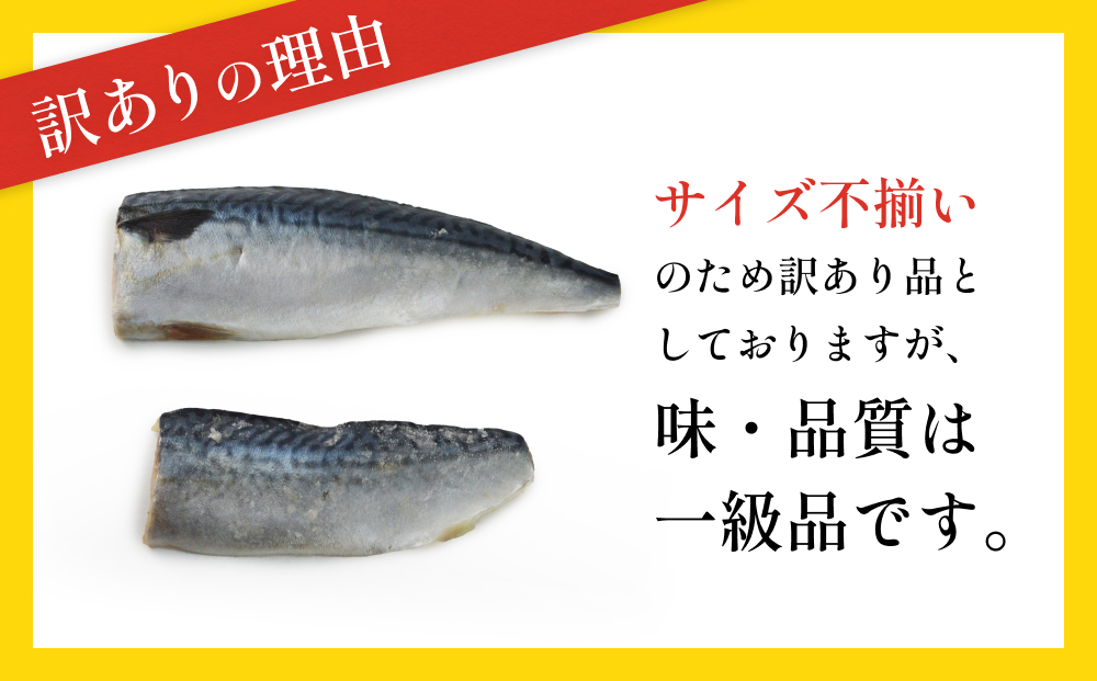 訳あり 無塩サバフィレ3.0kg (30枚前後) 冷凍 さば 鯖 不揃い 魚 お魚 焼き魚 煮魚 おかず お弁当 美味しい 簡単調理